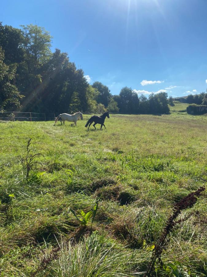 Chez Sophie -Chambres D'Hotes, Gite Et Gite Equestre Clermont-Dessous Kültér fotó